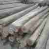 8 Feet Height 3″ – 4″ Top Diameter Treated Poles