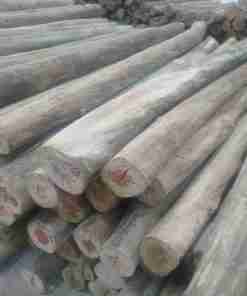 7 Feet Height 3″ – 4″ Top Diameter Treated Poles