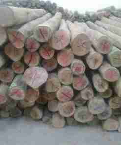 Top Diameter 4″ – 5″ Treated Poles 8 Feet Height