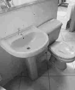 Colored Close couple toilet set