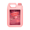 Window and Glass cleaner 5 Litres
