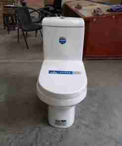 Premium Toilet Seat with Cistern White