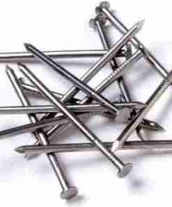 Polished Nails 1″ Per 1 Kg