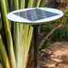 300W Solar LED Garden Light