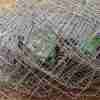 Zingira Chain Link 6 Feet High