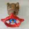 Pegler gate valve 1″