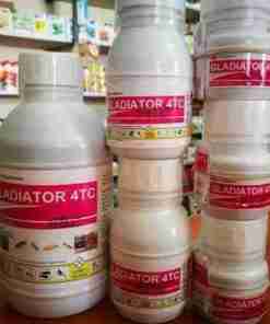 GLADIATOR 100ML
