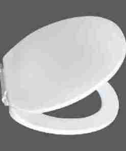Pvc Toilet Cover Seat (BlueWhite)